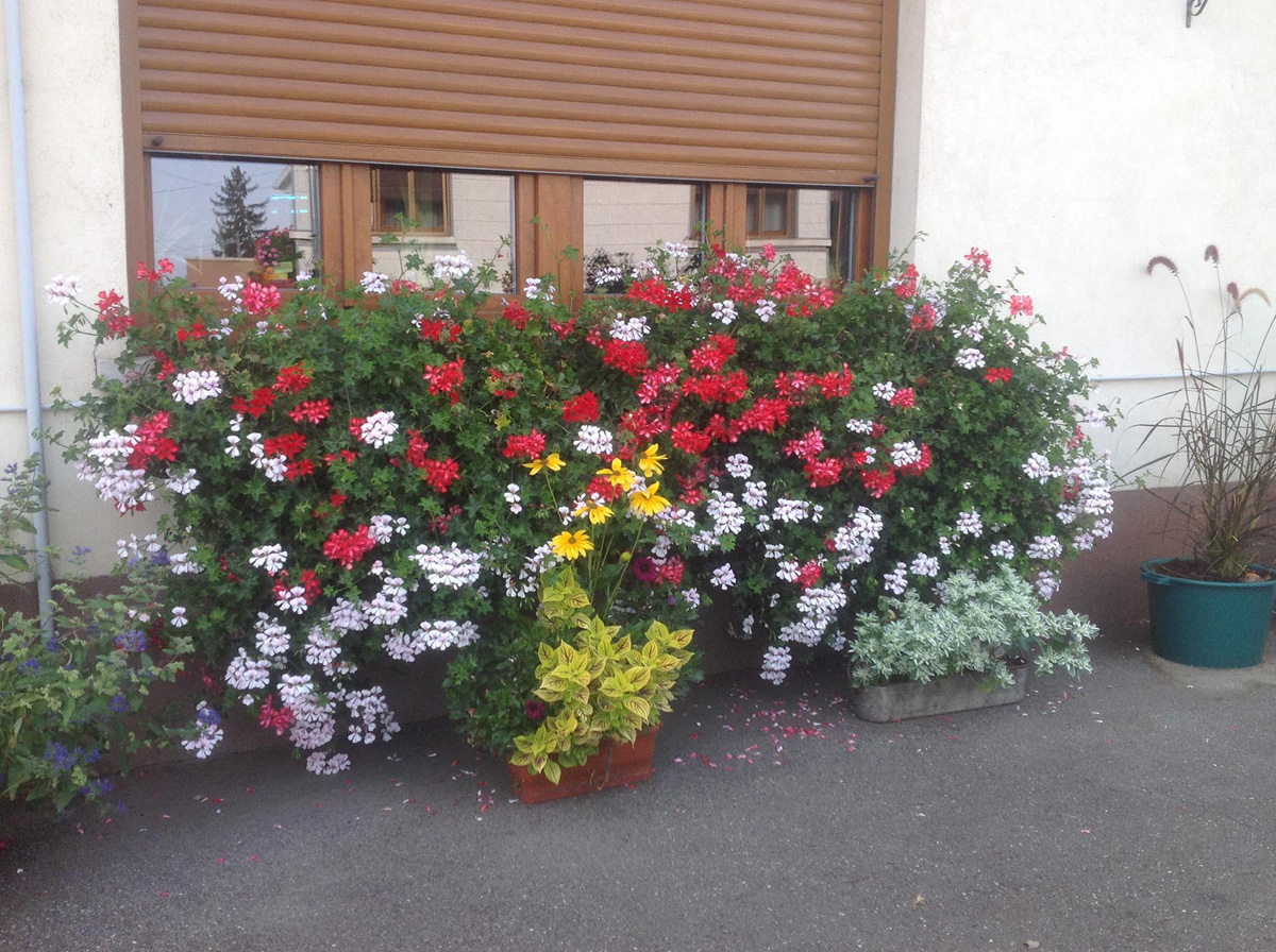 Un Dimanche au Restaurant &#8220;Au Vieil Armand&#8221; Pfastatt