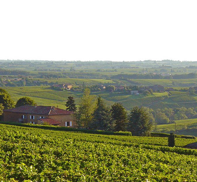 Tourisme et activités autour de notre restaurant à Berrwiller dans le Haut-Rhin Kingersheim 1